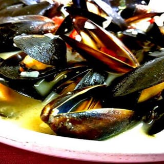 Mussels
