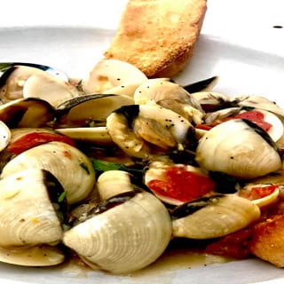 Cherrystone Clams