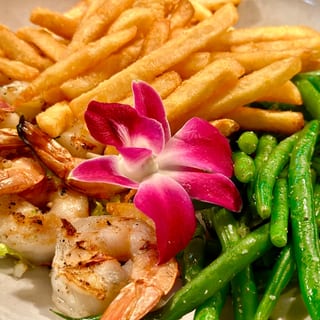 Shrimp- Catch